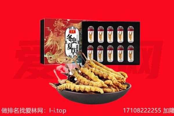 南充嘉陵区回收虫草.jpg